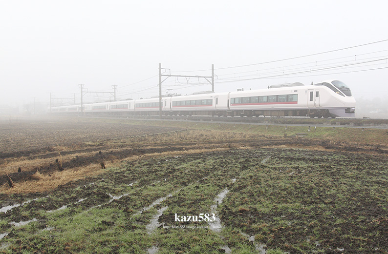 saisin-2016.3.8-5.jpg