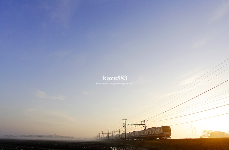 saisin-2016.3.18-3.jpg