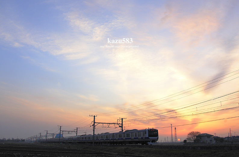 saisin-2016.3.23-1.jpg