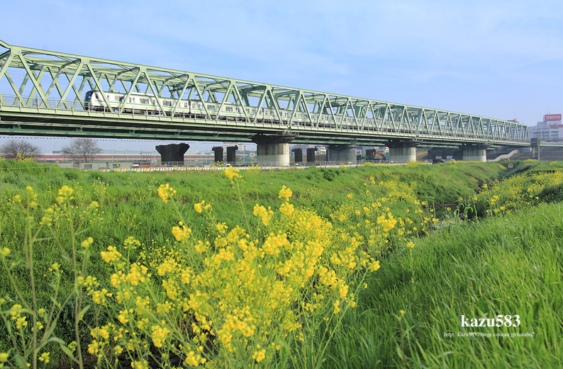 saisin-2016.4.6-3.jpg