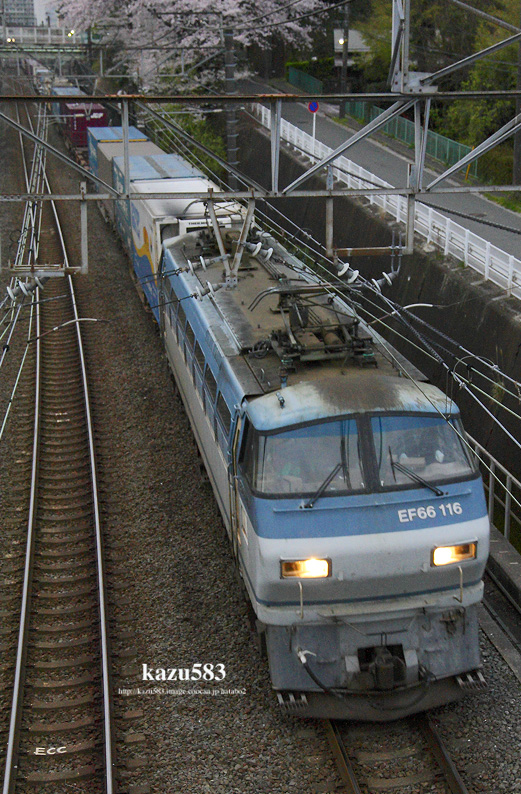 saisin-2016.4.7-1.jpg