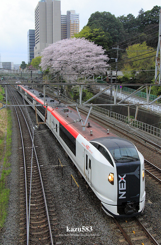 saisin-2016.4.7-3.jpg