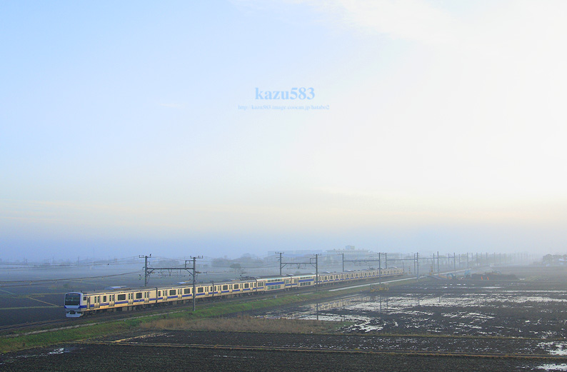 saisin-2016.4.8-3.jpg