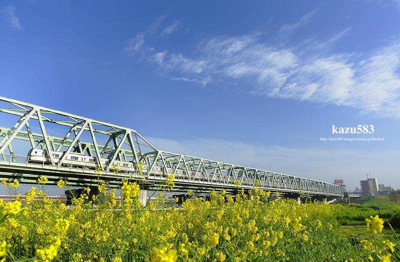 saisin-2016.4.8-2.jpg