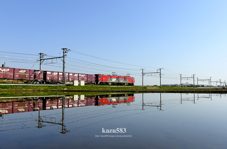 saisin-2016.4.12-5.jpg