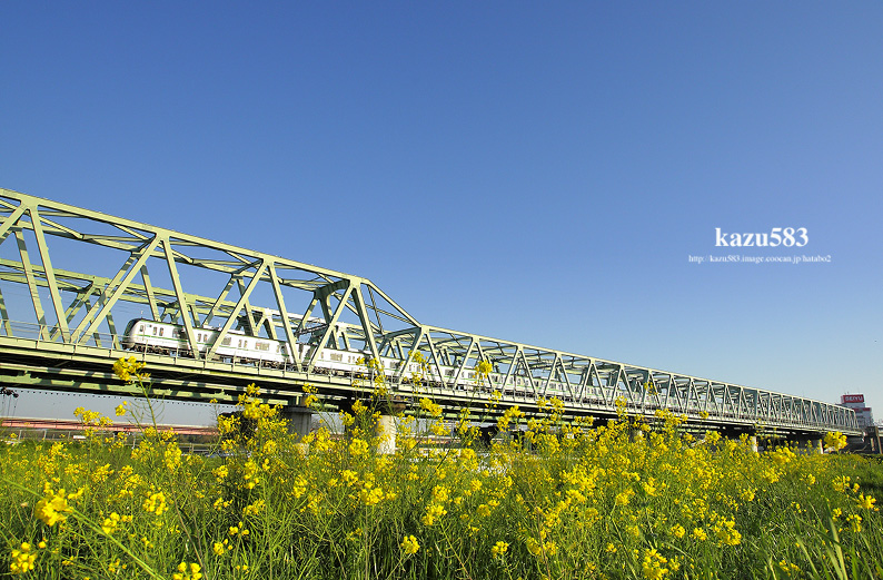 saisin-2016.4.12-2.jpg