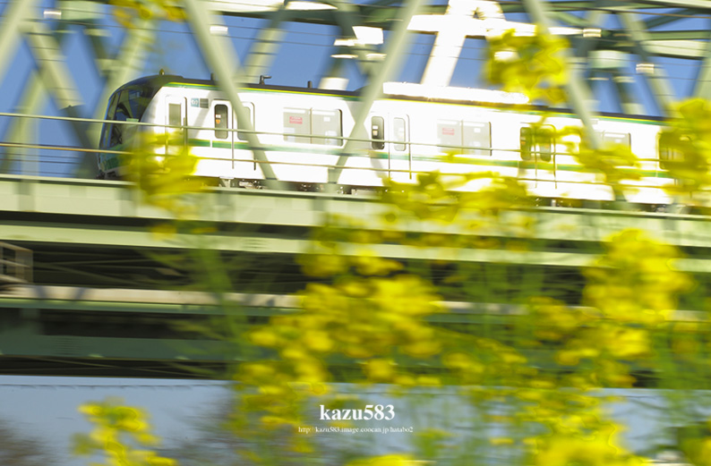 saisin-2016.4.15-1.jpg