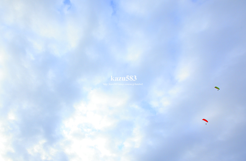 saisin-2016.4.16-2.jpg