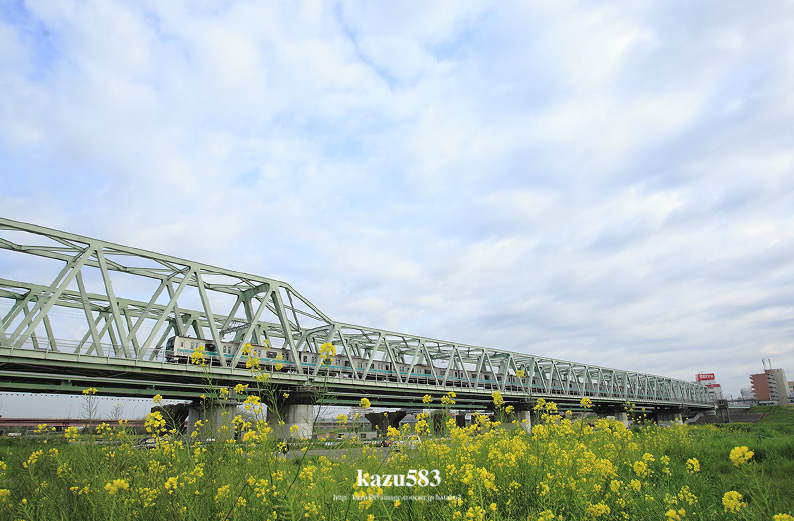 saisin-2016.4.16-1.jpg