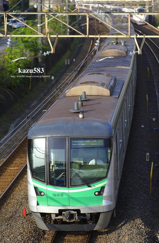 saisin-2016.4.27-2.jpg