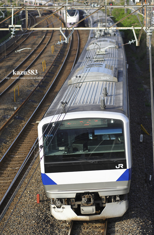 saisin-2016.4.27-4.jpg