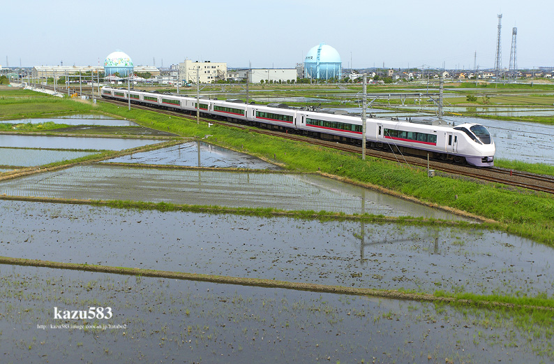 saisin-2016.5.8-1.jpg