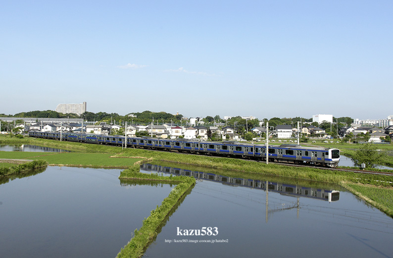 saisin-2016.6.11-1.jpg