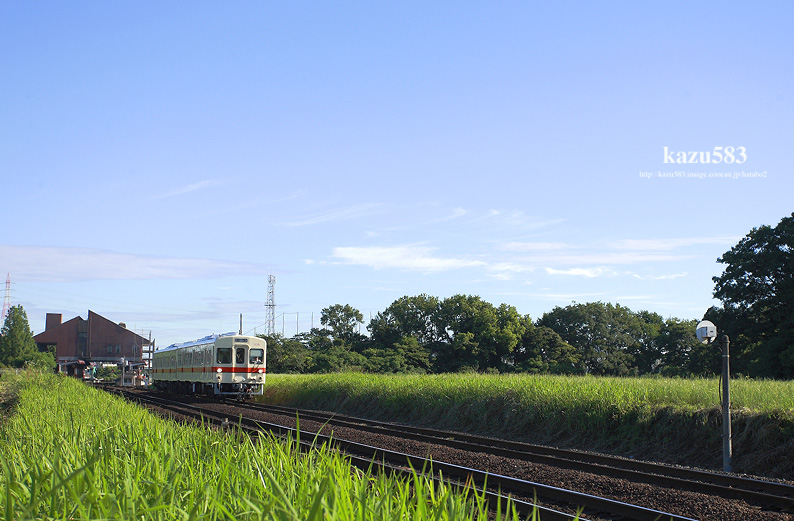saisin-2016.6.14-5.jpg