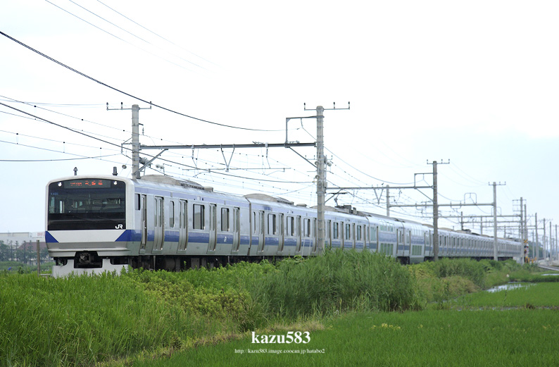 saisin-2016.6.24-1.jpg