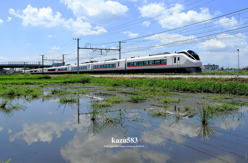 saisin-2016.8.1-1.jpg