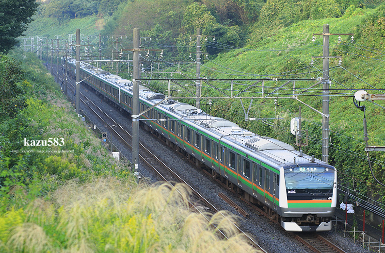 saisin-2016.10.6-1.jpg