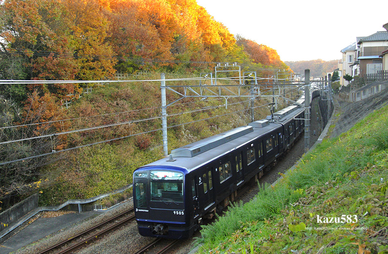 saisin-2016.12.8-4.jpg