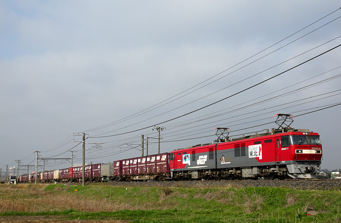 saisin-3-762.jpg