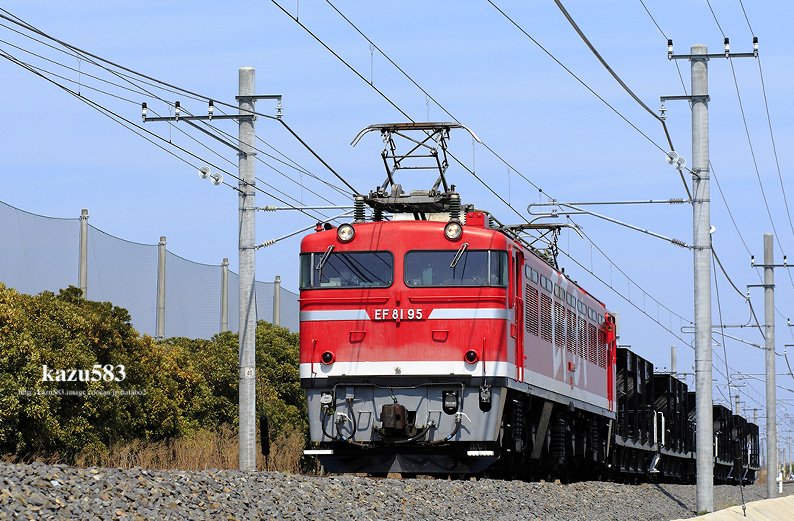 saisin-2017-4.5-8.jpg
