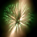 saisin2017.8.20-31.jpg