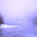 cranes.kawa-05.jpg