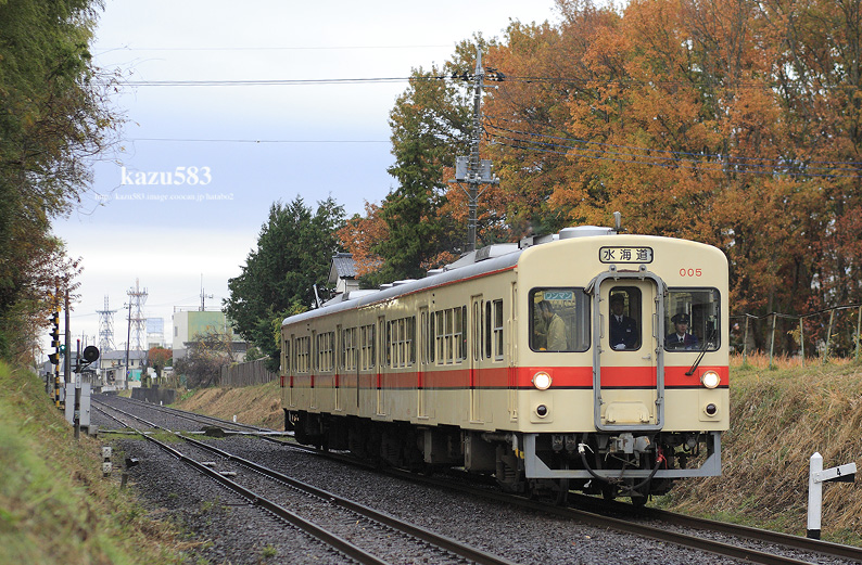 saisin2017.12.1-2.jpg