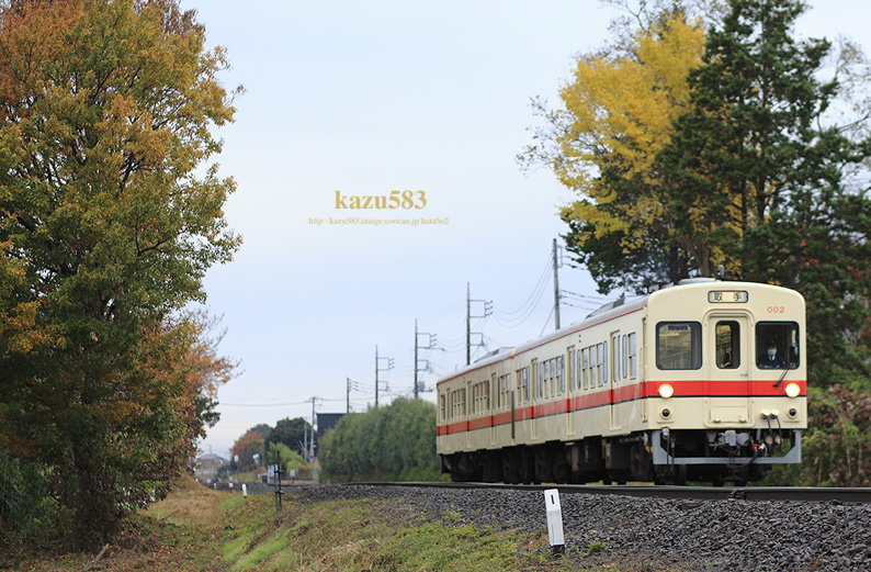 saisin2017.12.1-1.jpg