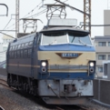 saisin-4-2495.jpg