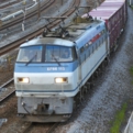 saisin-4-1391.jpg