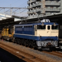 saisin-990.jpg
