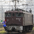 saisin-2016.6.22-04.jpg