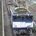 saisin-2-2889-2.jpg