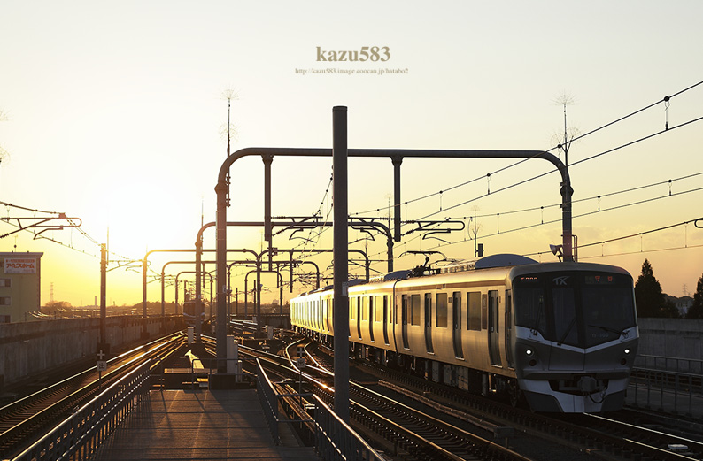 saisin2018.1.13-5.jpg