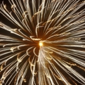 saisin2018.7.27-55.jpg