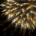 saisin2018.7.27-58.jpg