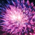 saisin2018.7.24-1.jpg