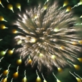 saisin2018.7.29-47.jpg