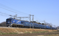 saisin-4-2305.jpg