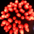 saisin2018.8.18-17.jpg