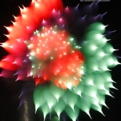 saisin2018.8.18-48.jpg