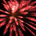saisin2018.8.25-9.jpg