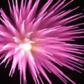 saisin2018.8.25-14.jpg