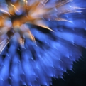 saisin2018.8.25-16.jpg