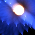 saisin2018.8.25-35.jpg
