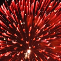 saisin2018.8.25-73.jpg