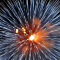 saisin2018.8.25-74.jpg
