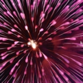 saisin2018.8.25-75.jpg