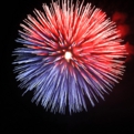 saisin2018.8.25-7.jpg
