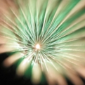 saisin2018.8.25-12.jpg